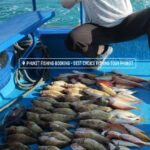 486627737_1095417689290969_8816463061322953863_n